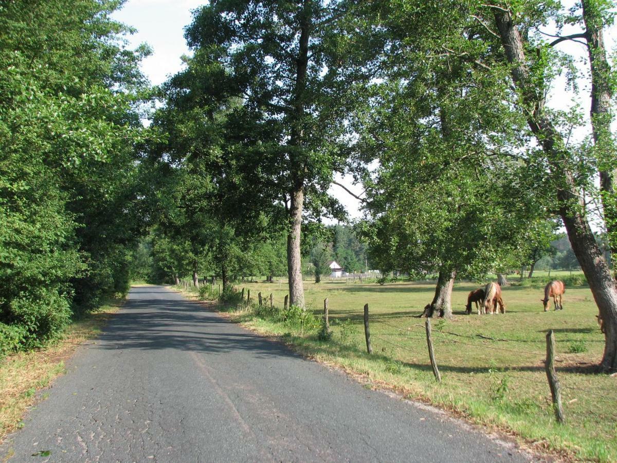 Strefa Kampinos Villa Brochów Eksteriør billede
