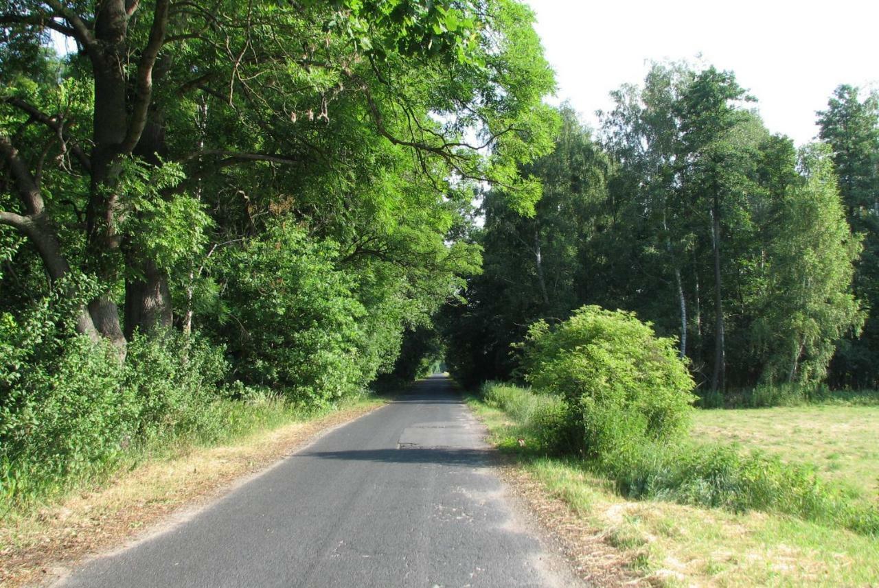 Strefa Kampinos Villa Brochów Eksteriør billede