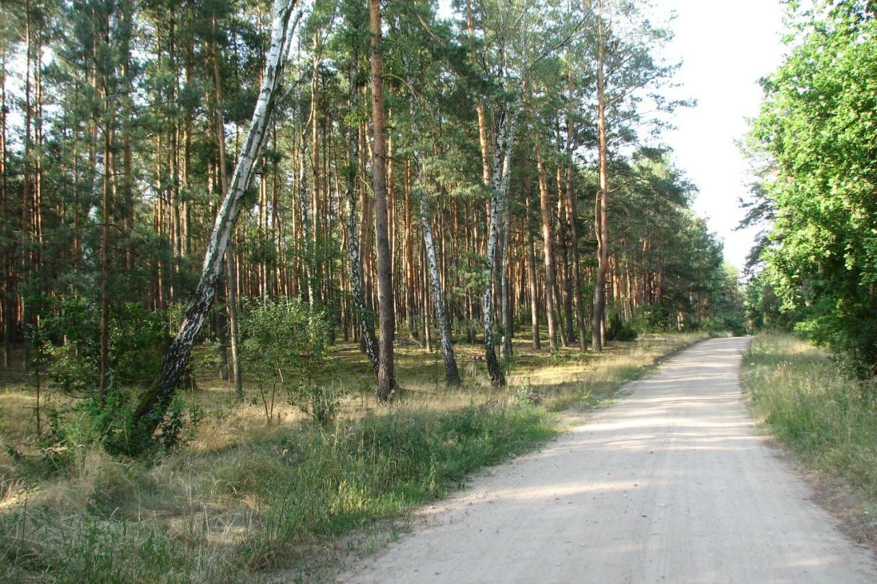 Strefa Kampinos Villa Brochów Eksteriør billede