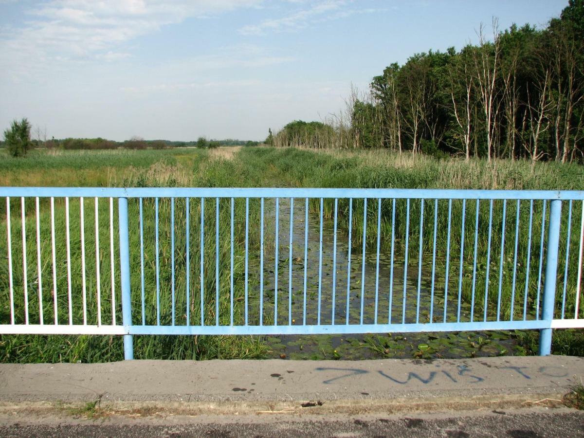 Strefa Kampinos Villa Brochów Eksteriør billede