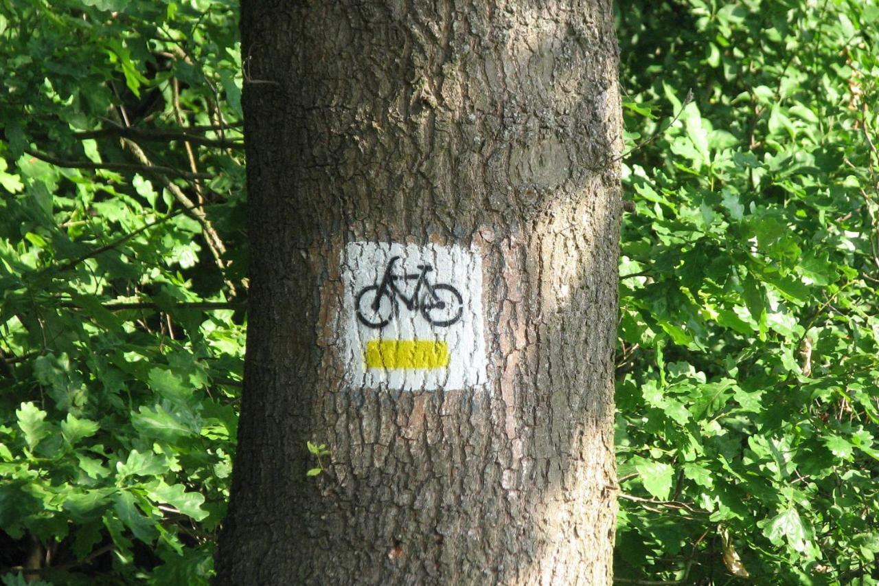 Strefa Kampinos Villa Brochów Eksteriør billede