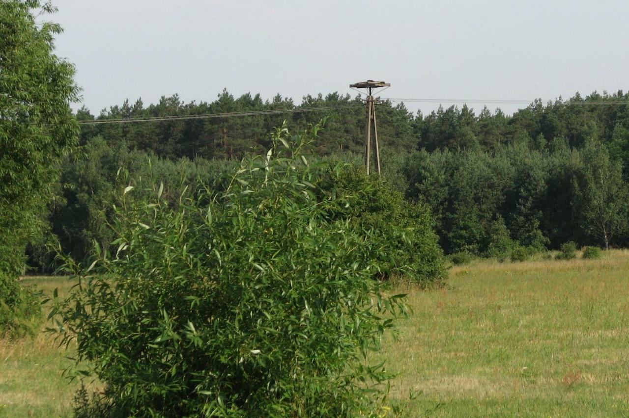 Strefa Kampinos Villa Brochów Eksteriør billede