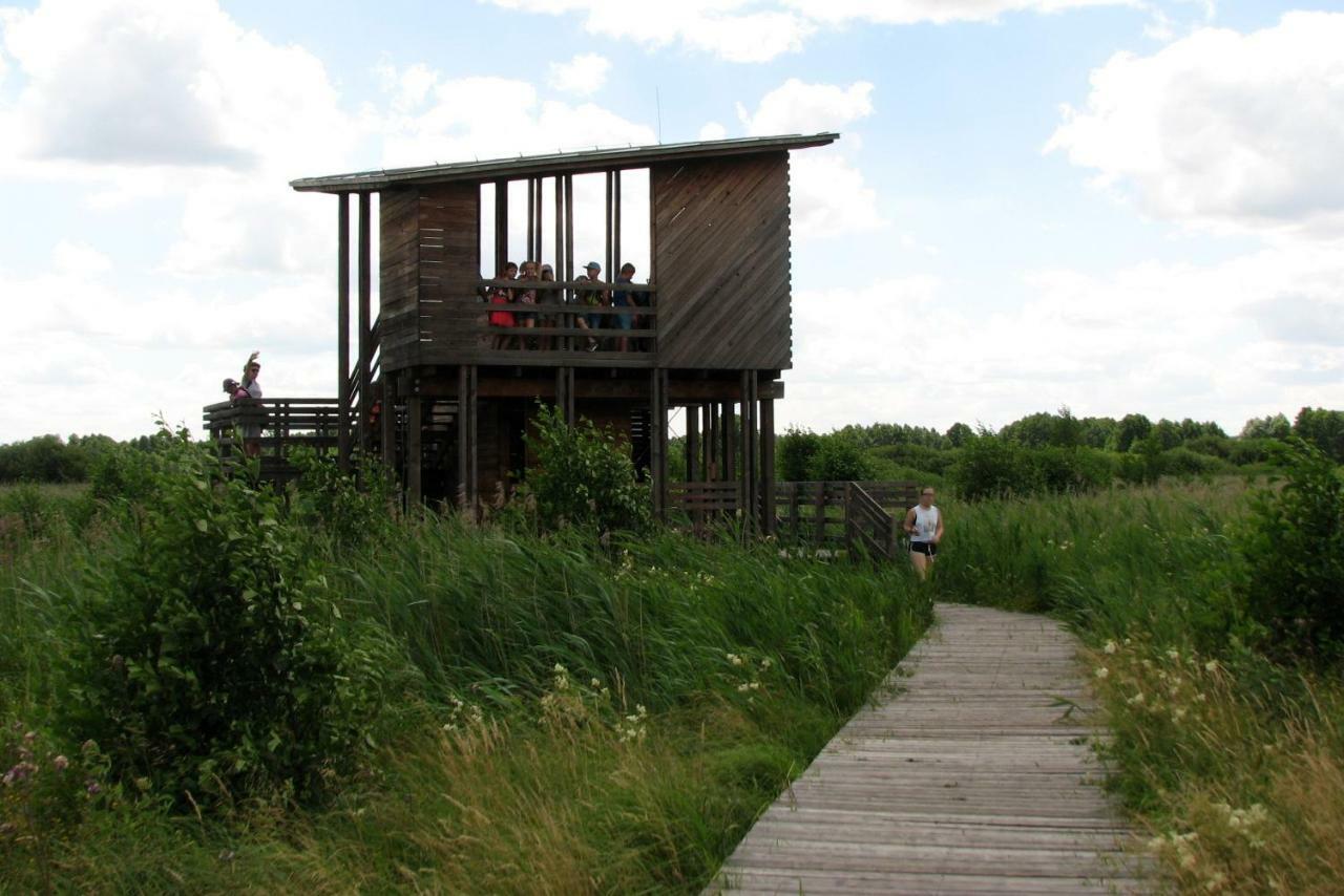 Strefa Kampinos Villa Brochów Eksteriør billede